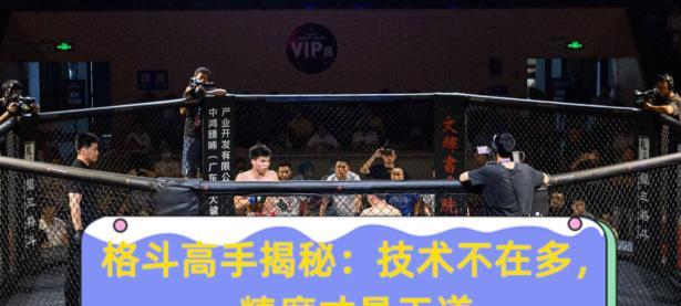  拳击大师赛掀起高潮，庐州雷豹队强势横扫燕赵雄狮队，老将里程碑之夜——传控打穿防线