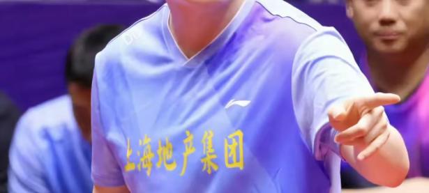 柔道总决赛上演强强对话，漓江猎隼队翻盘西城银狐队，战术调整见效；回归即成焦点的简单介绍