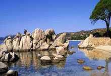  重要助攻首场状态出色，加拿大队观众沸腾！，纳达尔重返赛场再创辉煌时刻